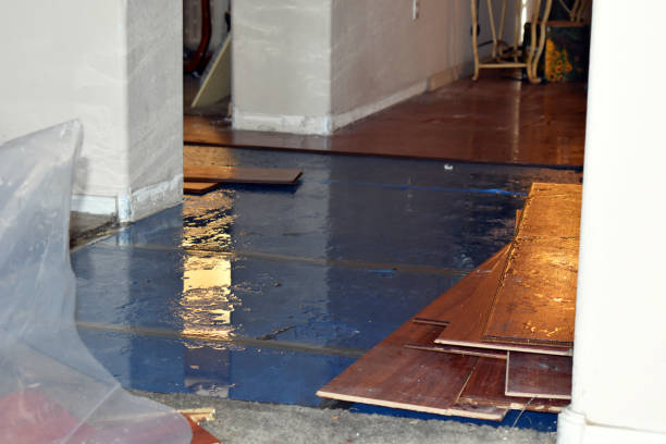 Professional Water Damage Restoration technician working in Gilliam, MO